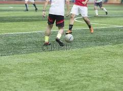 娄阳教授,刊文,室温下甲烷,乐竞体育官方,乐竞体育在线官网,乐竞体育线上,乐竞体育APP