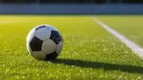 乐竞体育 产品 123206 im3