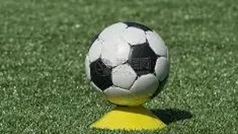 乐竞体育 产品 095358 xsk