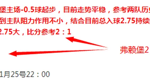 【惊险逆袭！德乙赛场德乙队力克强敌，关键战神秘数据引爆球迷激情讨论】